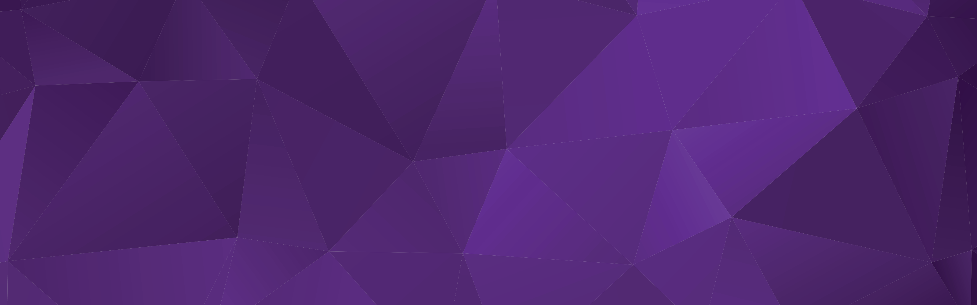 banner.
